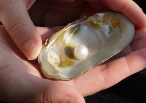 Freshwater pearl to stay in Scotland after selling for more than £93,000