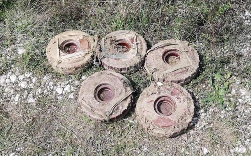 Defense ministry: Last week, 293 mines discovered in liberated Azerbaijani territories