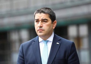 Папуашвили призвал представителей оппозиции присутствовать на парламентских заседаниях