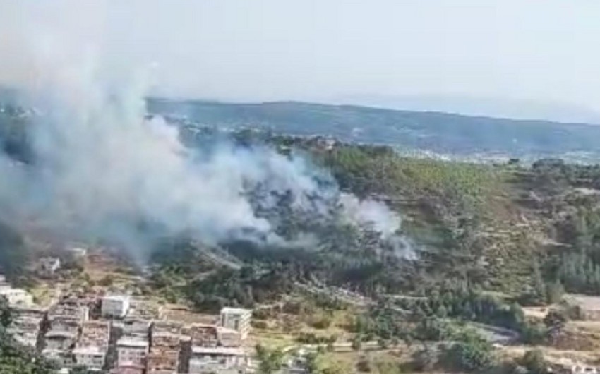 На западе Турции вспыхнул лесной пожар