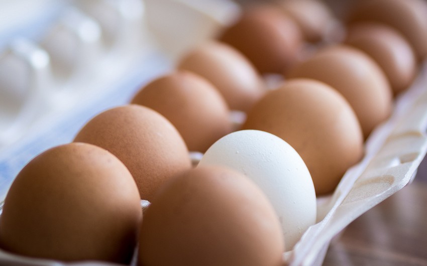 Azərbaycanda yumurta istehsalı 5% artıb