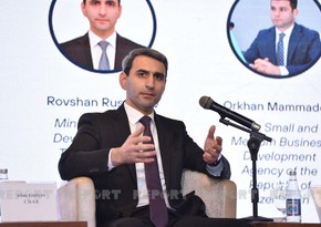 Legislative base on startups underway, says Rovshan Rustamov