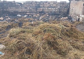 В Геранбое задержаны подозреваемые в умышленном поджоге фермы 