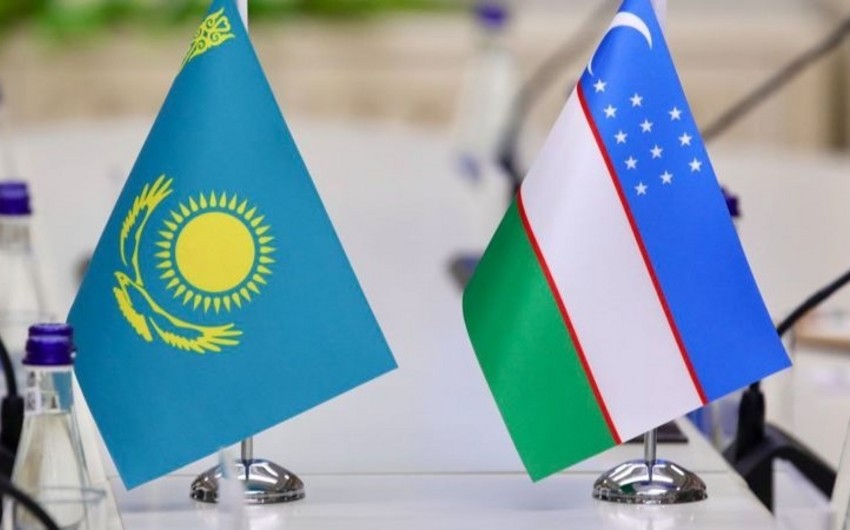 Казахстан ратифицировал договор с Узбекистаном о демаркации госграницы