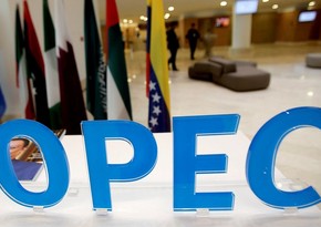 Джен Псаки: США продолжат давление на страны ОПЕК
