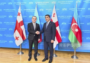 Ceyhun Bayramov Gürcüstanın parlament sədri ilə görüşüb