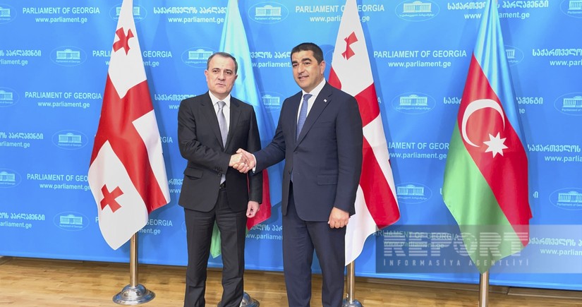 Джейхун Байрамов встретился со спикером парламента Грузии