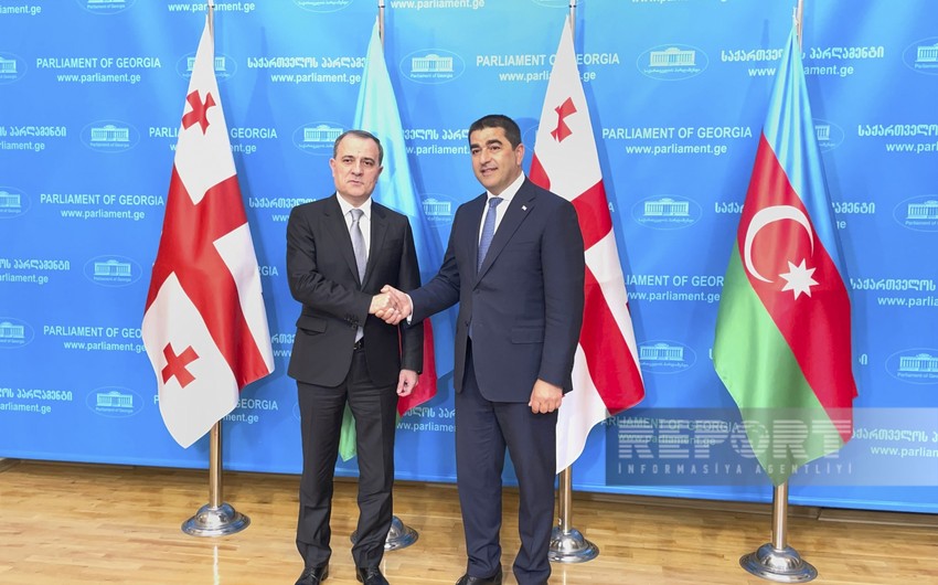 Azerbaijani foreign minister meets with Georgian parlianment speaker