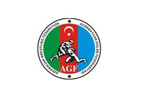 Азербайджанские борцы примут участие в международном турнире в Польше