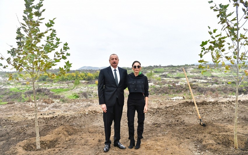 President Ilham Aliyev and First Lady Mehriban Aliyeva plant trees in Central City Park to be built in Fuzuli