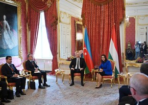 Prezident: Enerji məsələsi Azərbaycan-Macarıstan gündəliyində birinci yerdədir