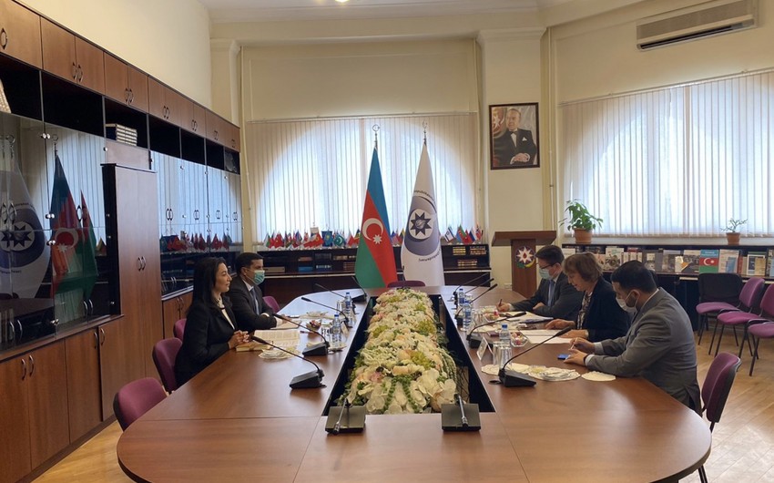 Azerbaijani Ombudswoman, CoE official mull gender equality, human rights