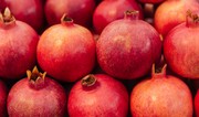 Azerbaijan seeks to expand pomegranate export market