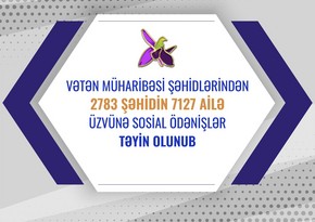 Nazirlik: 2 783 şəhidin ailə üzvünə sosial ödənişlər təyin olunub