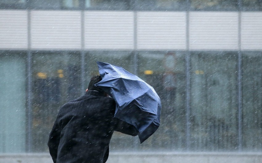 Завтра в Азербайджане ожидаются дождь и сильный ветер | Report.az
