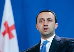 Премьер Грузии: Саакашвили вернулся на родину, чтобы подготовить почву для войны