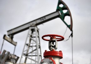 МЭА повысило прогноз по добыче нефти в мире в 2023 году 
