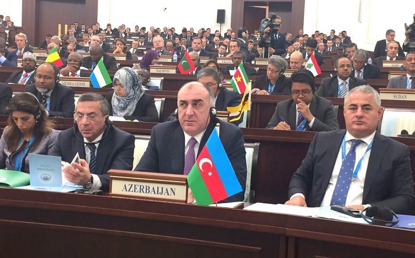 Azerbaijani Foreign Minister: Armenia disregards position of international community