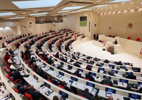 Финансовый комитет парламента Грузии отклонил вето президента на проект закона об офшорах