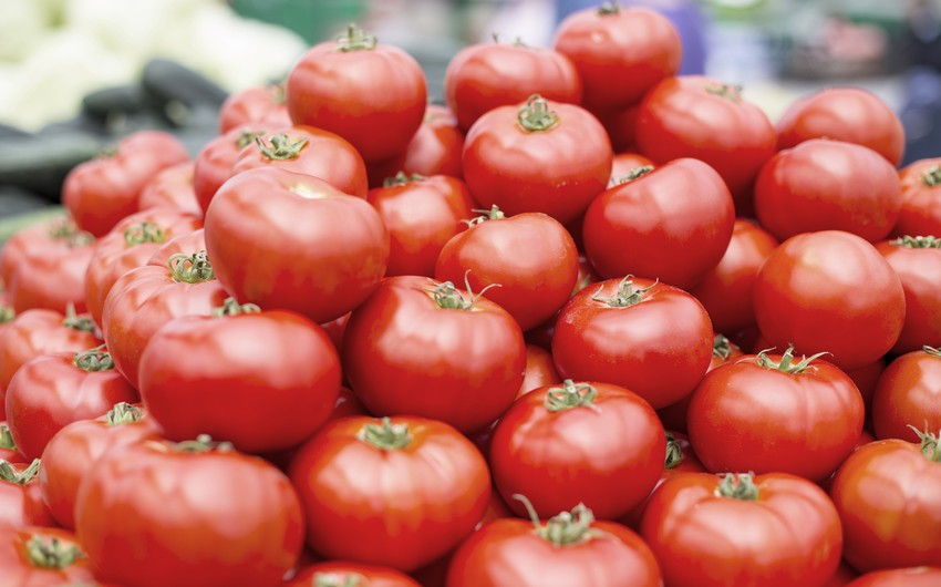 Tomato export from Azerbaijan to Netherlands grows 955 times
