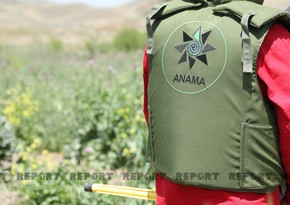 ANAMA: 220 hectares cleared of mines and unexploded ordnance during last week