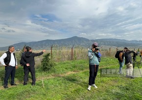 Xarici media nümayəndələri Xocalıda narkotik plantasiyasının aşkarlandığı əraziyə baxış keçiriblər