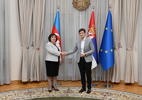 Azerbaijani parliament speaker meets with Serbian PM