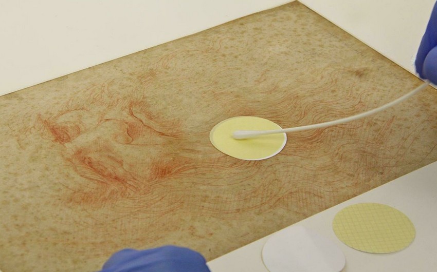 В рисунках Леонардо да Винчи нашли человеческую ДНК