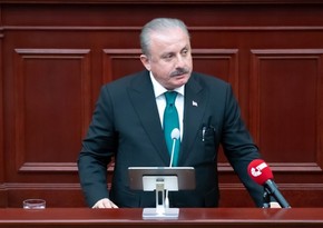 Шентоп: Произошедшее в Азербайджане показало, что ООН не может выполнять свою миссию