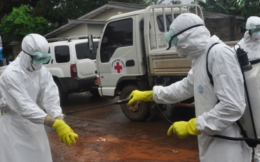 Число погибших от Эболы медиков приблизилось к 500