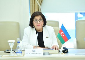 Председатель парламента Азербайджана посетит Грузию 