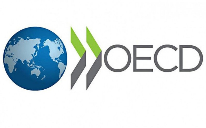 OECD: Ən çox vergi yükü Belçikadadır
