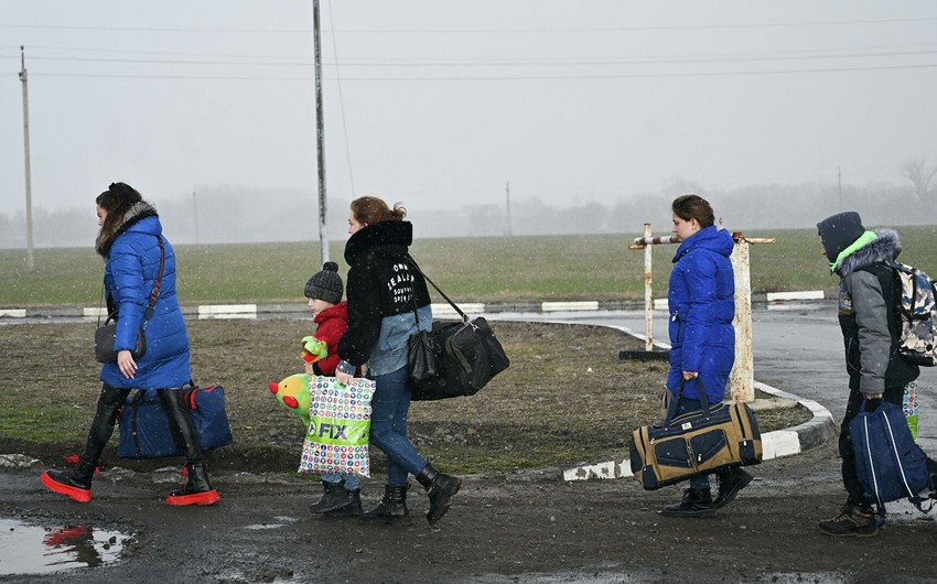 Почти 147 тыс. беженцев из Украины зарегистрированы в Германии