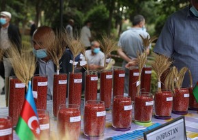 Azərbaycanda mövsümün ilk toxum sərgi-satış yarmarkası keçiriləcək