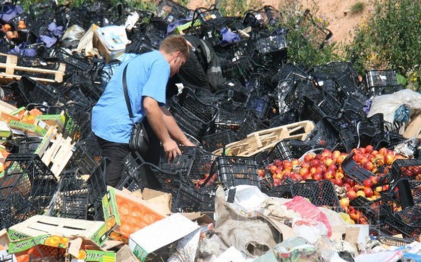 ​Жители Смоленска уносят с полигона уцелевшие санкционные продукты