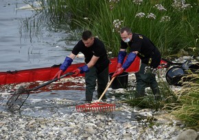 Heat in Czech Republic leads to mass death in Oder River