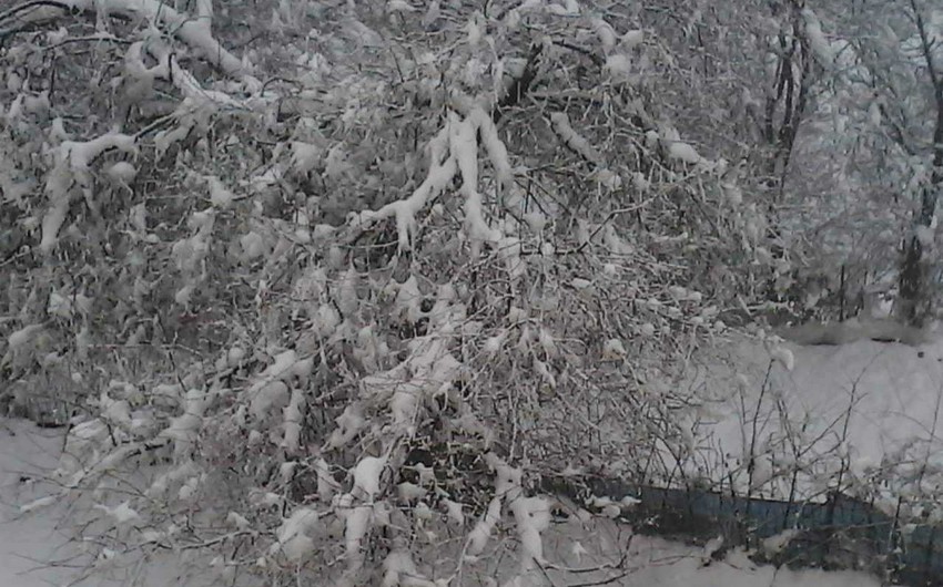 В западных районах Азербайджана выпал снег