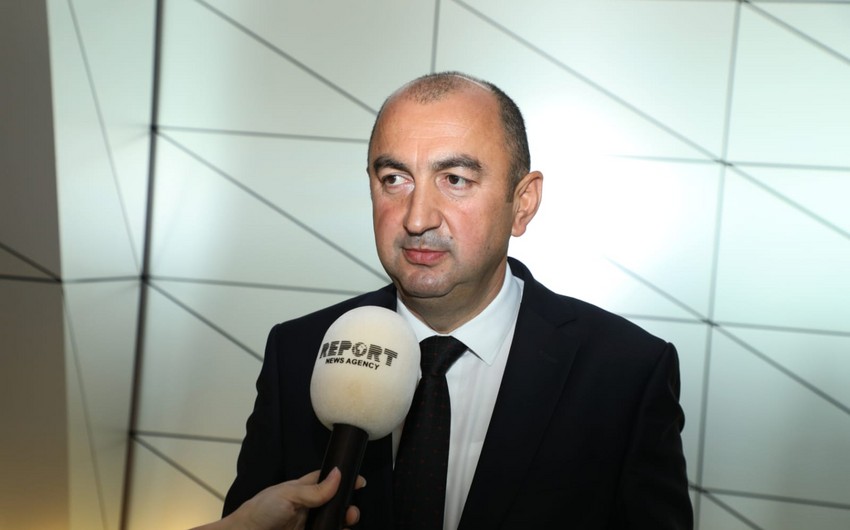 Nazir müavini: Cəbrayılda ceyranların yırtıcıların hücumuna məruz qalma təhlükəsi yüksək deyil, minalar isə onlara böyük risk yaratmır