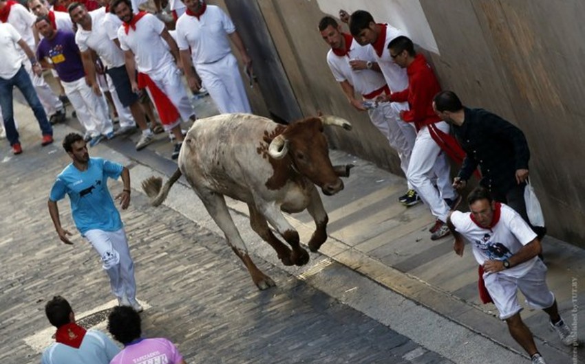 Spain: 4 injured, no one gored in first Pamplona bull-run