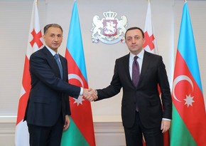 Georgian premier meets Rashad Nabiyev