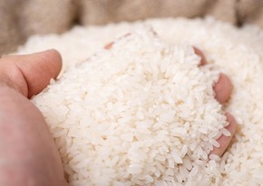 Rice prices surge to fresh 15-year high