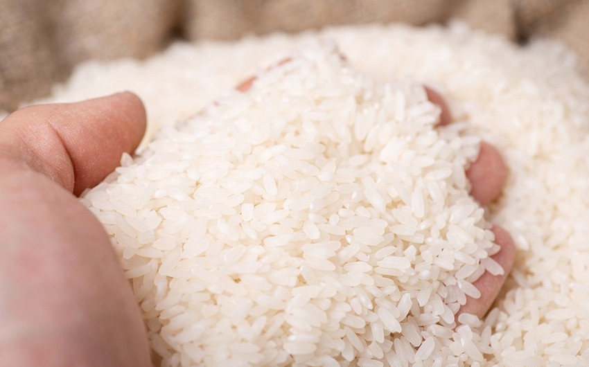 Rice prices surge to fresh 15-year high