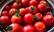 Azerbaijan’s tomato imports to Qatar soar