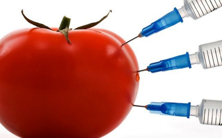 Azerbaijan banned the import, manufacture and sale of GM foods