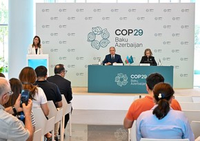 Мухтар Бабаев: В Информационном центре COP29 будут работать волонтеры и специалисты