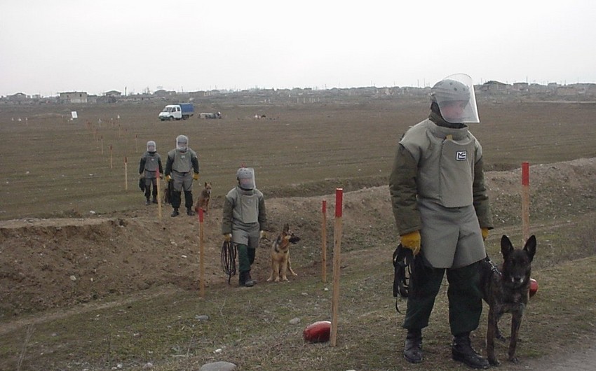 На турецко-азербайджанской границе обнаружено 500 мин