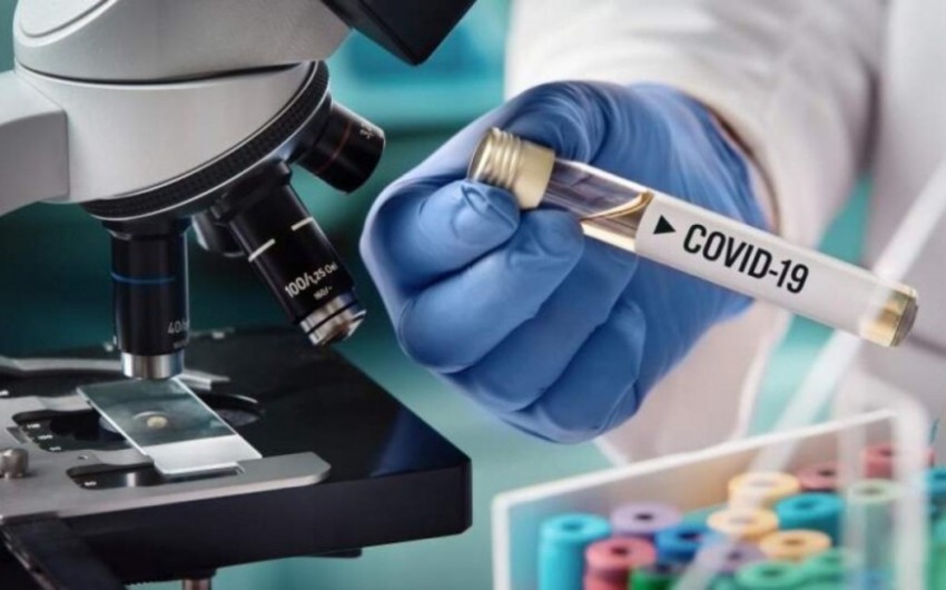 Xorvatiyada koronavirusdan rekord ölüm qeydə alınıb