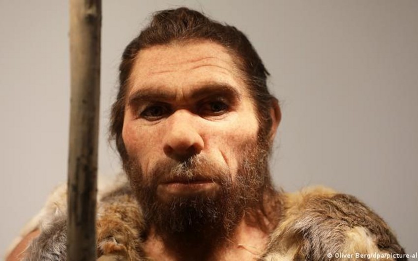 Scientists identify Neandertal gene variants that can slow drug metabolism