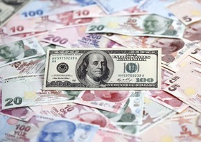 USD rate in Turkey to exceed 5.0 TRY in next two years