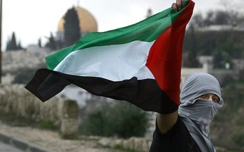 ЛАГ предложит Совбезу ООН резолюцию о создании государства Палестина